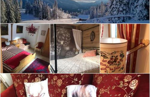 Holiday Guesthouse La Casina di Butzi pet friendly - Terme di Arta - Zoncolan - Foto 12