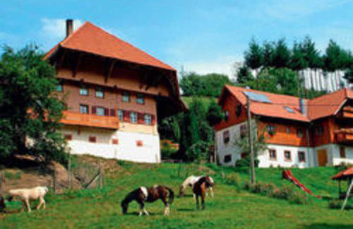 Schwoererhof - Photo 10