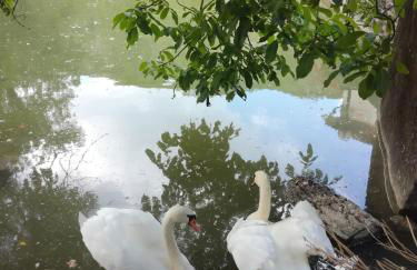 La scuola del castello località San Giovanni Spello - Photo 32