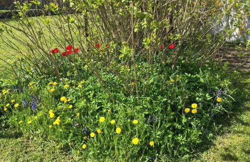 Ferienwohnung Sonnentraum - Foto 36