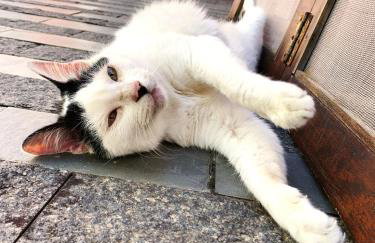 Vista para o mar e a poucos passos da praia - com Wi-Fi - Photo 41