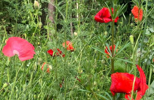 Gemütliche Ferienwohnung im Keller - Foto 9