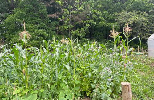 Associação Quinta das Relvas - Foto 120