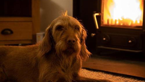 3 Bed in Lockerbie 89406 - Foto 4, Other