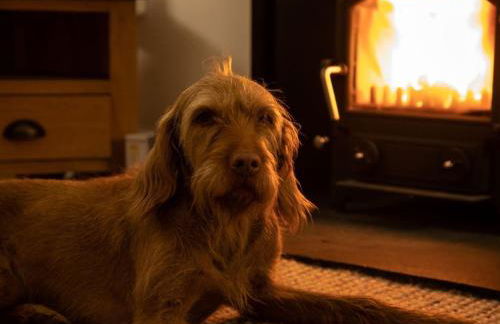 3 Bed in Lockerbie 89406 - Foto 4