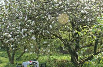 Dromore House Historic Country house - Foto 48