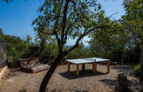 Es Colomer - Foto 35