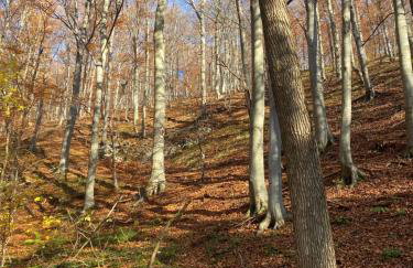 4 TREES Holiday House - Foto 38