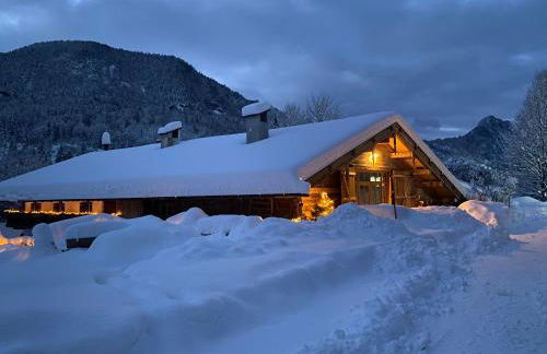 Nickis Bergcamp - Foto 7