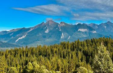 Wygórowane - nowoczesne stodoły pod Tatrami - Foto 43