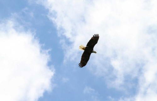 Private Island Escape Less Than 6 Mi to Sand Valley Golf - Foto 33