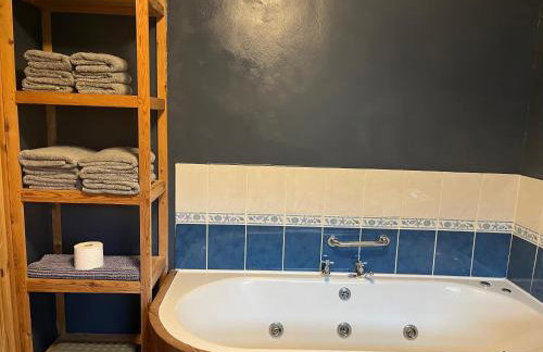 Bryn Rhedyn cottage - Foto 12