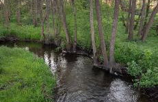 Agroturystyka Sianowo - Foto 12