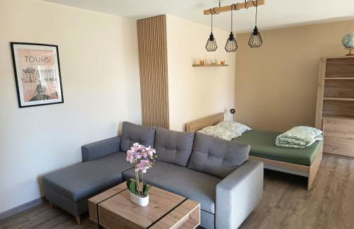Grand appartement T2 cosy 4 personnes Proche Tours Centre - Photo 1