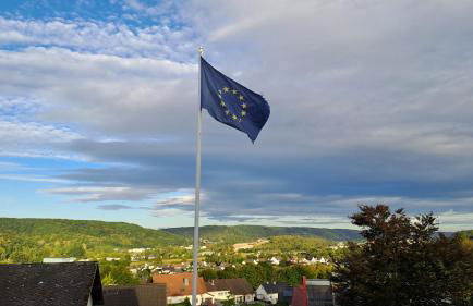 Magnolia FeWo Rheinbrohl - Foto 14