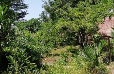 Appartement centre historique - Foto 12