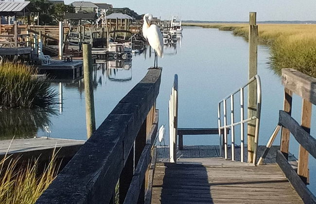 Seawatch Inn at the Landing - Foto 75