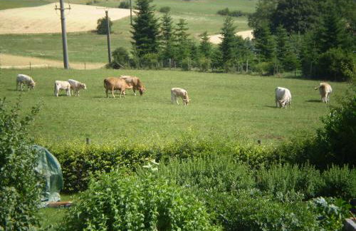 Eifelferienkurth - Photo 70