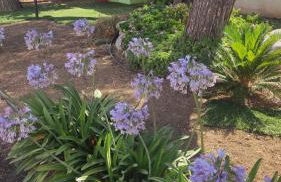 Seagull Apartments Bari Sea & Airport - Foto 12