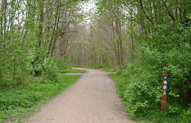 10 Person Holiday Home in Dragor-by Traum - Foto 21