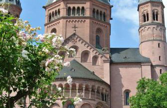 Ferienwohnung "Schön Wohnen in Mainz" - Foto 22