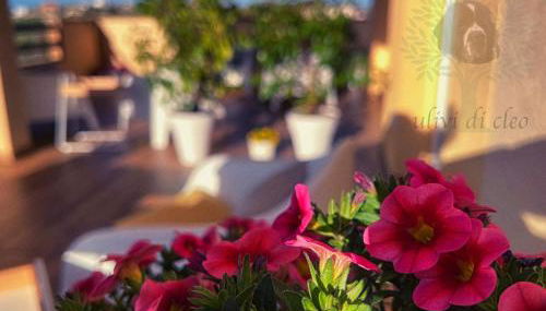 Ulivi di Cleo - Foto 2