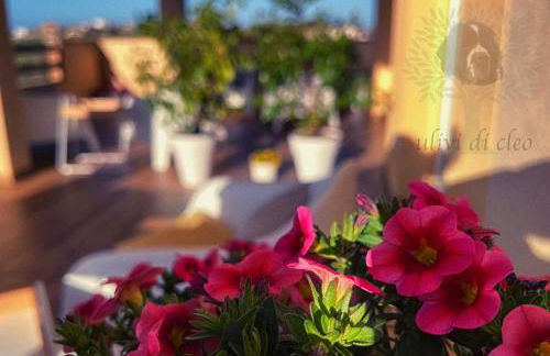 Ulivi di Cleo - Foto 2