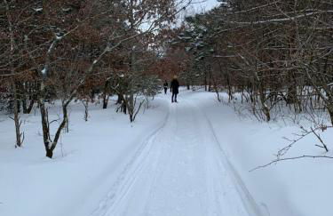 Cozy Indian Lake Chalet on Golf Course with Arcade/Gameroom - Foto 61