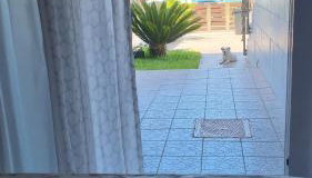 Ionian Dream Home - Foto 5, Garden