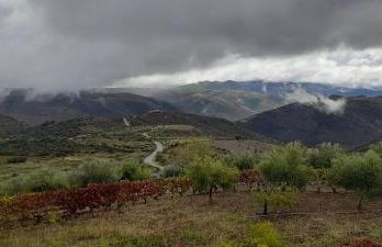 Quinta Alto da Fraga - Foto 27