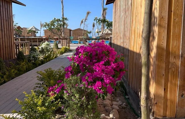Kite Cabins At Safi Bay El Alamein - Photo 31