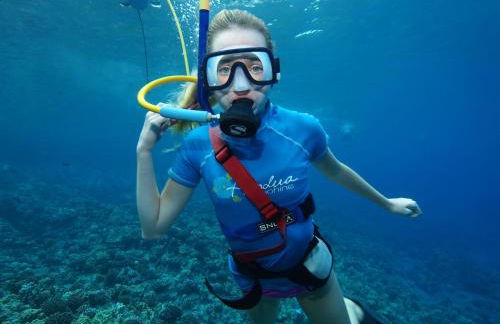 Equestrian Retreat - Foto 66