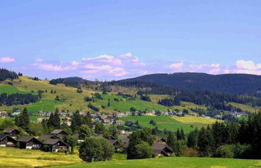 Ferienhaus Bernau13, Rechbergblick - Foto 38