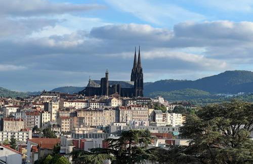 Un havre de paix en plein coeur de ville près Chu - Foto 7