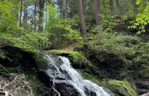 Nature's Nest - Woodland Retreat - Fireplace - Quiet and Cozy - Foto 30
