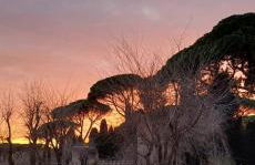 The Golden Pyramid - Photo 10