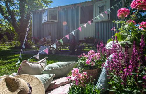 Gwithian Shepherds Hut - Foto 18