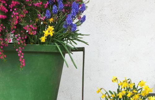 Ferien- Und Winzerhof Simon - Photo 5