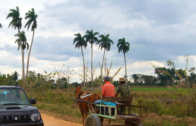 Jeep Safari nei dintorni di Yaguajay - Foto 1
