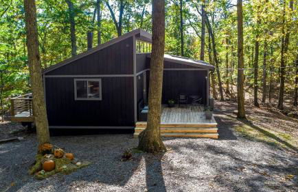 Modern Forest Cabin with Hot Tub, Screened Porch & Resort Access Near Hedgesville, WV - Foto 31