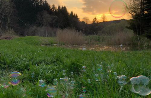 Sowia Enklawa - Foto 37