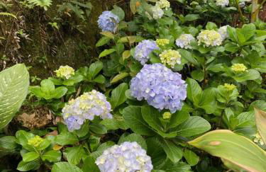 Hotel Fazenda Bonanza - Foto 71