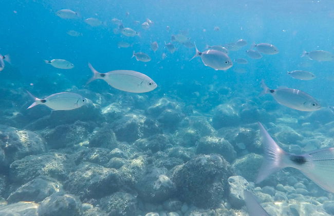 Bautismo de buceo en Calpe - Foto 1