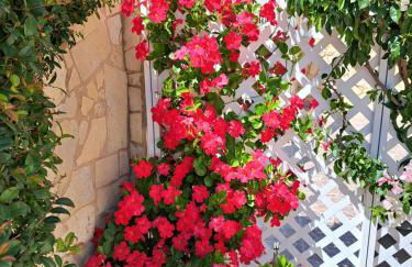 Villa Mariamar - Foto 38