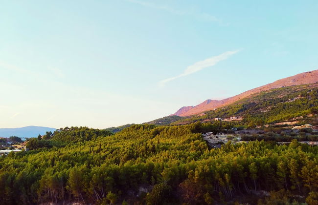 Villa Lavanda - Photo 45