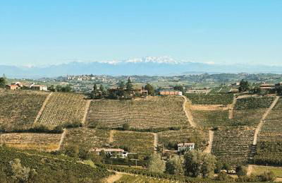 Cascina Canelli - Foto 40