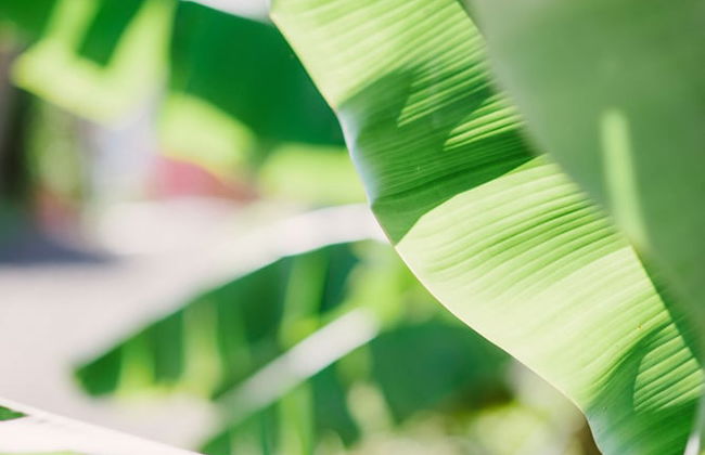 Casa Rural El Patio de Tita - Foto 46