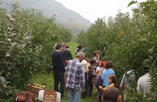 Bargiolina - Foto 50