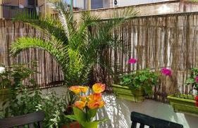 Estudio Maignon - Foto 18