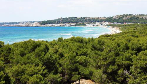 Appartamenti Rivabella D - Photo 2